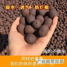 淘粒陶粒垫底陶粒大号养花专用回填卫生间彩色陶泥颗粒花用铺面