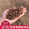 Pine bark rotten large pieces of fermented pine phosphorus cultivation matrix Dendrobium candid Dendrobium candidum plant material wholesale