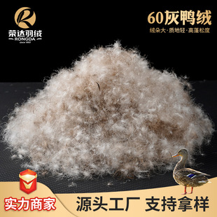 60�����q�q�Ӻ���60%�坍��800���ɶ�12.5cm��q��Ʒ�����羳��