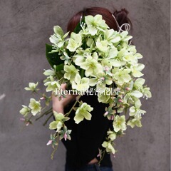 シミュレーションのシルクジャスミンの高品質のカイドウの花の単一の軽い豪華な3dプリントの絹の花の家庭の装飾の卸売り