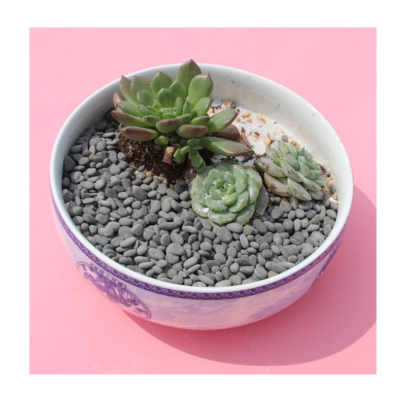 ��Ȼ��ɫzakka��װ��ʯ ΢������������ר�� 3-5mm��ѡ��ɫ��װʯ