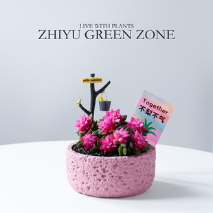 ��ѩ֮�ɶ���ֲ���ɫ���������̨���B���־Gֲ�҃Ȼ������ԶY��