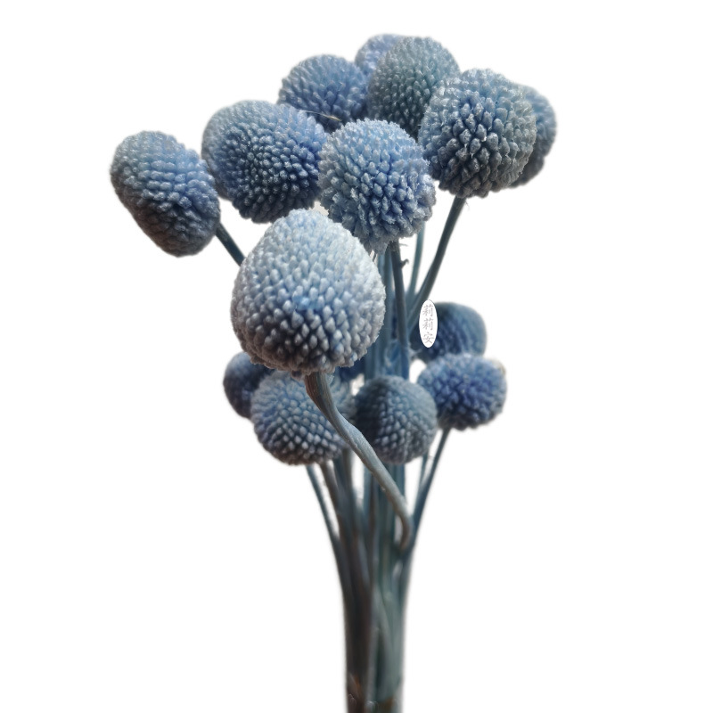 블루(20개/묶음)