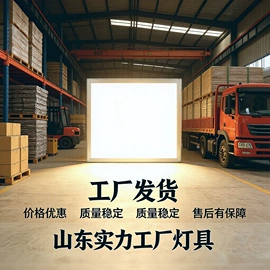 商用吊线灯;LED面板灯;红外线灯泡