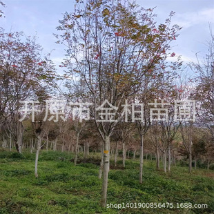 �������lˮ�ܻ�� �ٻ����3-15���ֆΗU�������̻�鱘� ���NС��