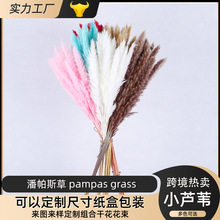 亚马逊粉色小芦苇永生花diy花束成品装饰真花ins摆件潘帕斯草干花