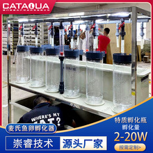 水产养殖高密度孵化设备 工厂化循环水养殖系统 麦式鱼卵孵化器