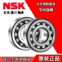 nsk日本双列调心轴承