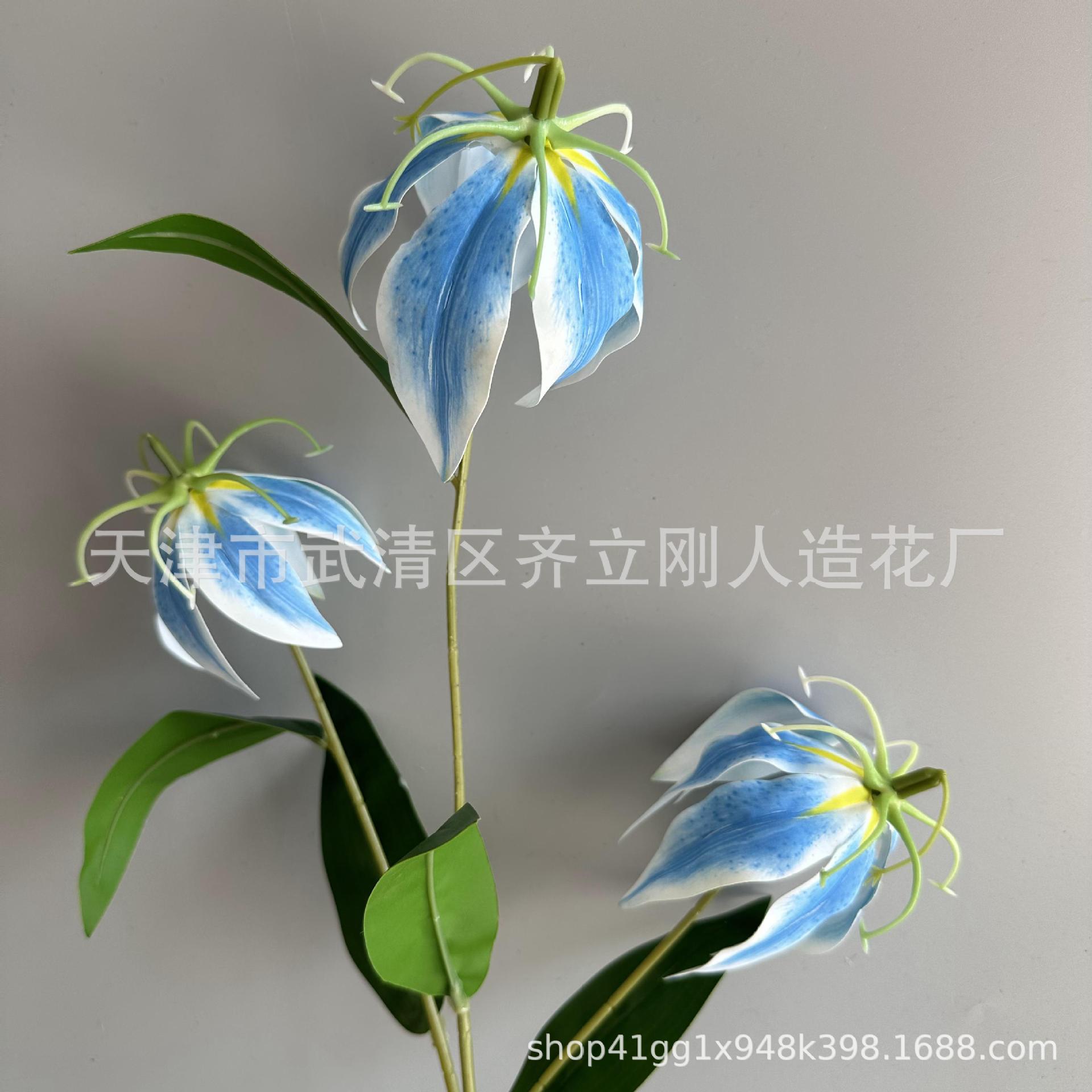 2호