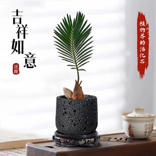 �F�䌚�������k���ҹ�λ�Gֲ���ܺ��B���ļ��͟��͕�Gֲ����