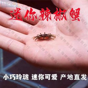 �������l����з��ˮз�^�pззз��С�з������������з����