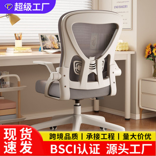 ���w���W���k������X�μ��ÌW�������m�����D�Ε�������
