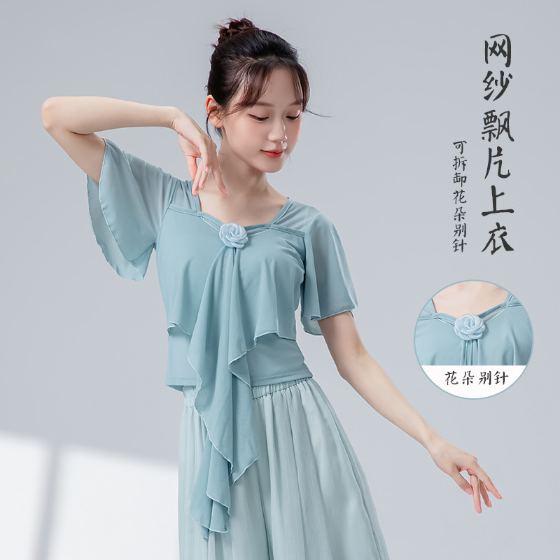 Original Design Classical Dance Practice Clothes for Women, Double-Layered Mesh, Elegant and Fairy-Like Floral Body Suit, Gauze Short-Sleeved Top