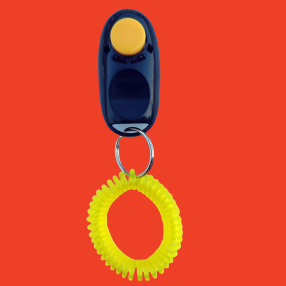 Entrenador de mascotas, contraseña sonora, pulsera, juguete para perros, artefacto mágico, entrenador de mascotas, juguete para perros