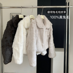 �������� 2024�궬����ë���@����Ƥ��Ƥëһ�wëë������Ů