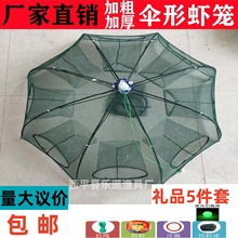 �S�����l��Ҏ���W�~�W�~�\�r�\�~�W��W�ۯB�O�W���r�W��\�O��