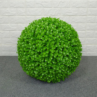 ��ˇ�ȼ����������m����Gɫ��ֲ��̦�\���ܛ�b�Ʒ��ؔ[��