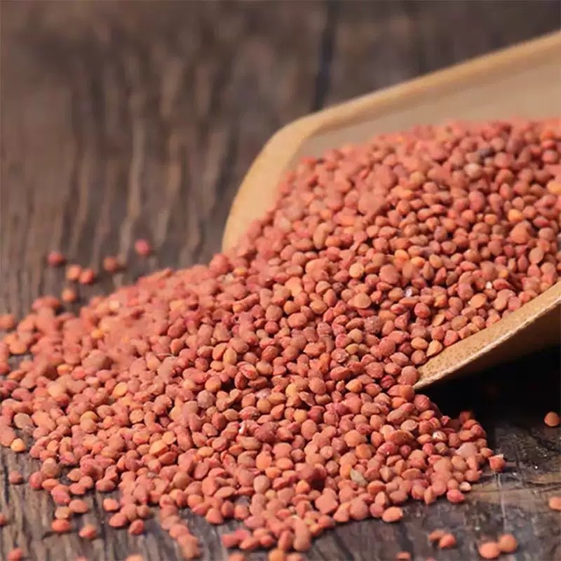 Chu Shi Zi (Broussonetia papyrifera Fruit) — Dried Food Herb, 500g key features