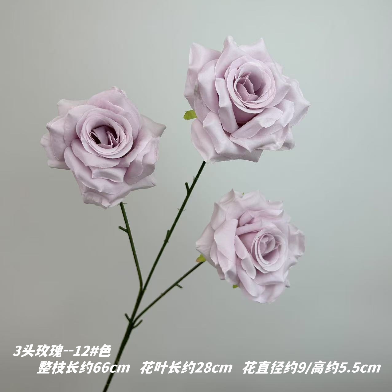 12 # 색상