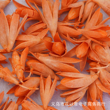 【小玉兰花】手工diy真花头干花干果香包材料组合贴画团扇配材