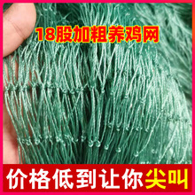 颂因塑料养鸡养殖网天网拦鸡鸭网山鸡网防护网菜园围栏网尼龙网