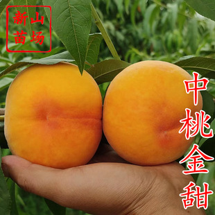 ���ҽ������� ��������Ʒ�N�������������S���Ә���Ʒ�N����B