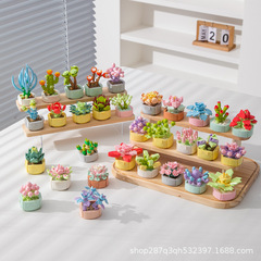 ドリル馬104癒し多肉積み木DIY盛り合わせ植物花束鉢植え児童手作りアイデア置物模型