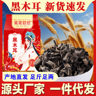 ��ľ��1���؛ľ���o��ľ���S�����lëľ������ľ�����˴��ӹ�b