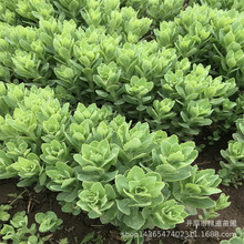 �ˌ����챭���Ի��|���ݻ��ˌ�����С���� �ͺ��޸����ܵ�����