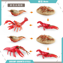 �羳���溣�����С���r���L����ģ�̓�ͯ�ƽ����r���L�^�̔[��