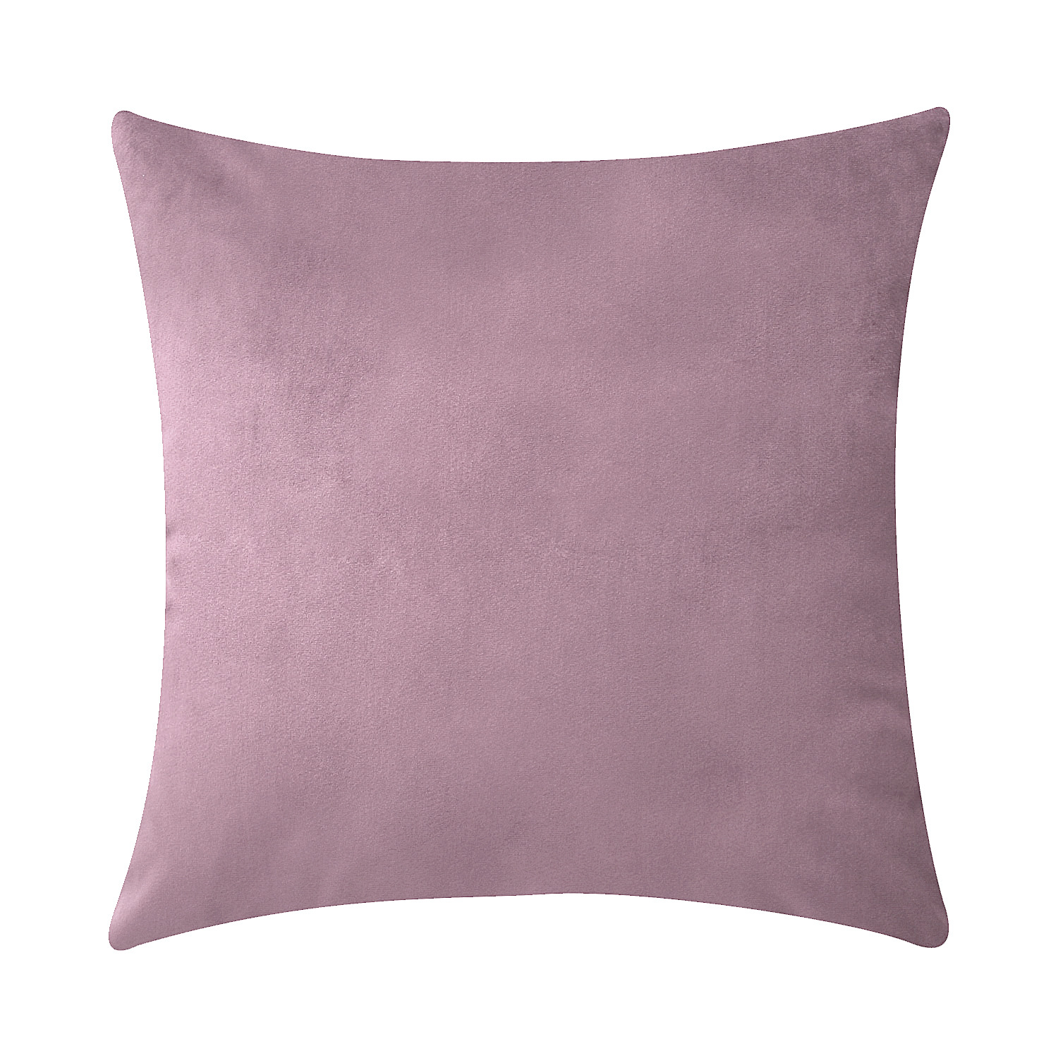 BZ0T28 (핑크 퍼플)