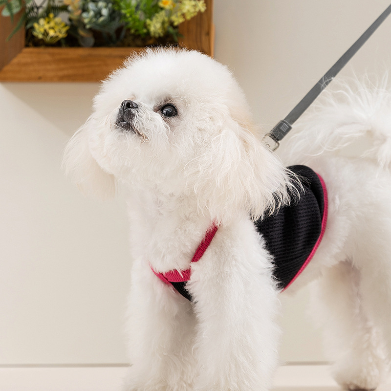 Primavera y verano amor perro cabina de gaffle de dibujos animados respirables gato chaleco de dos patas perro pequeño ropa de perro
