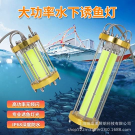 金卤灯;LED集鱼灯;钠灯