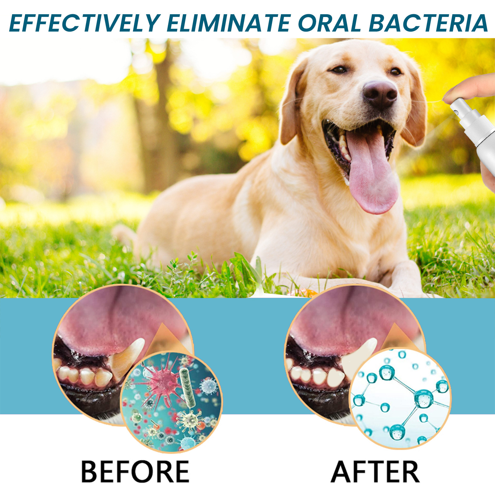 Spray Oral Eliminator Image 6