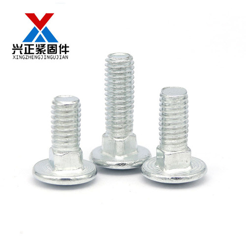 Semi-round head square neck bolt galvanized carriage screw large flat head shelf bolt bridge screw M5M6M8M10M12