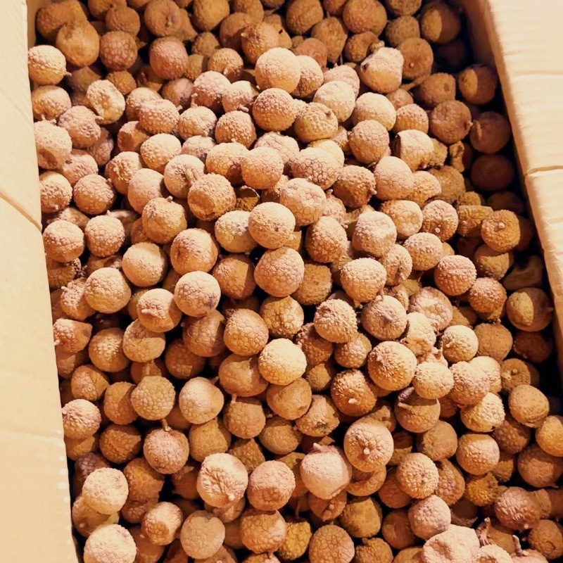 荔枝干 (1)_副本