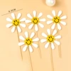 5 sun flowers