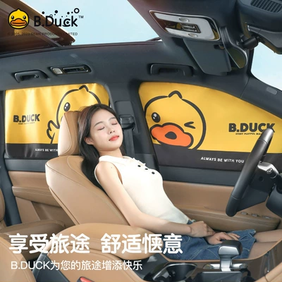 Protection Curtain — Car curtains