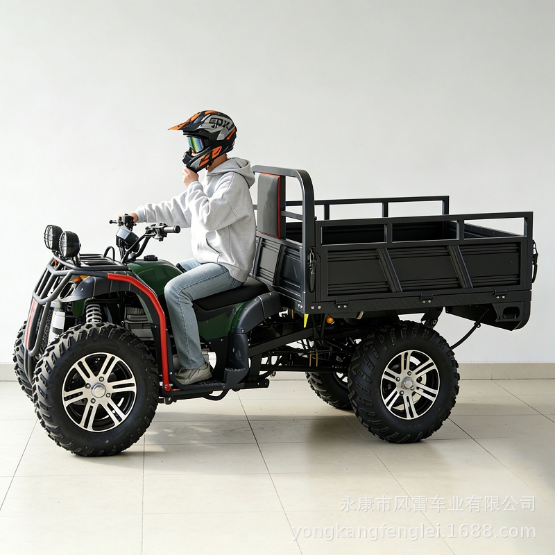Cuatrimoto Agrícola 4WD con Volquete de Hierro y Plástico, Inicio Eléctrico para Campo image 3