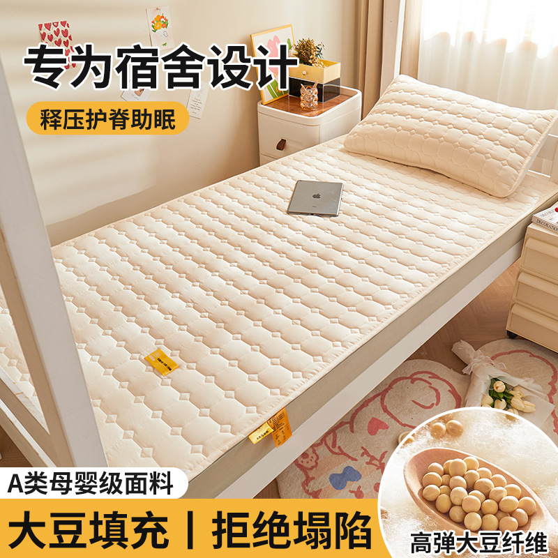 Colchón de soja, cojín, dormitorio de estudiantes en casa, cojín individual, cojín, piso especial para alquiler, cojín para dormir, fondo de cama