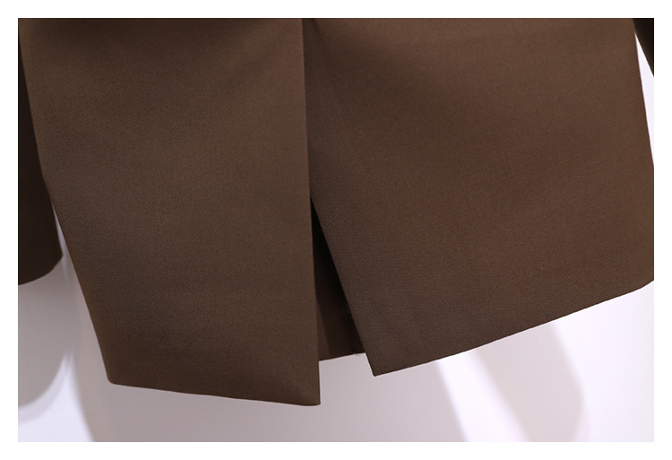 Coupe-vent pour femme, nouveau haut de style coréen, petite veste chic de couleur café, costume haut de gamme pour femme, printemps et automne_voghion.com