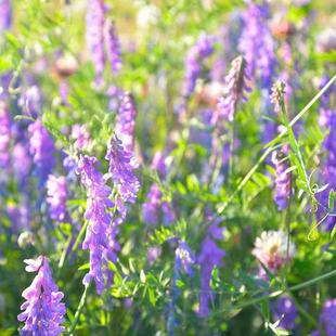 ���l�ϻ��������ݷN�ӾG�ʷN�ӷN�ӹ��@��Դ�G�ʷN��