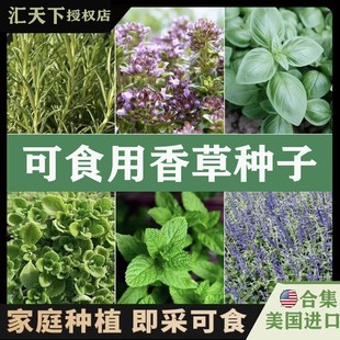 �羳��̱��ɷN���Ѱ�����N���ͺ��{�����ͥԺ�̨�ͺ�����ֲ��