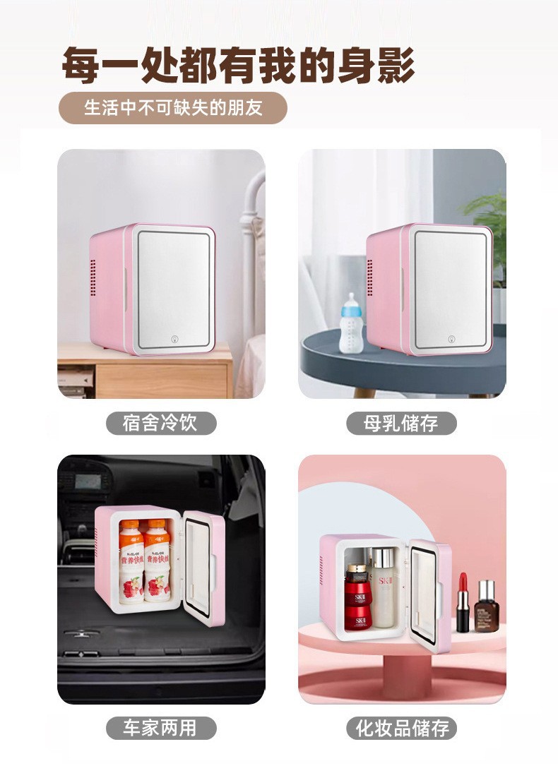 Car Beauty Mini Refrigerator Car Home Dual-use Refrigerator with Light and Mirror Multi-functional Mini Incubator