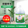 customized 3.8L gallon Green water Multipurpose Mopping the floor Toilet Ling Oil pollution Furring Cleaning agent The Conduit