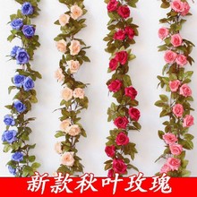 õ廨ٗlbٻړů{ˮܵp@ֲ