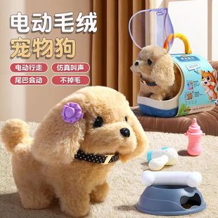 �羳늄�С��ë�q��߃�ͯ���挙����������ż�������жY�����l