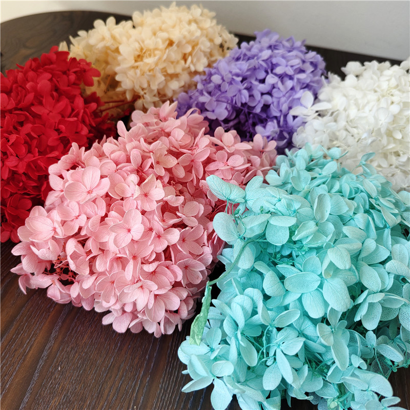 Perpetual Flower Pagoda Hydrangea, Leaf Hydrangea, Yunnan Baofeng Flower Fan Frame Decor, Floating Bottle Aroma Candle