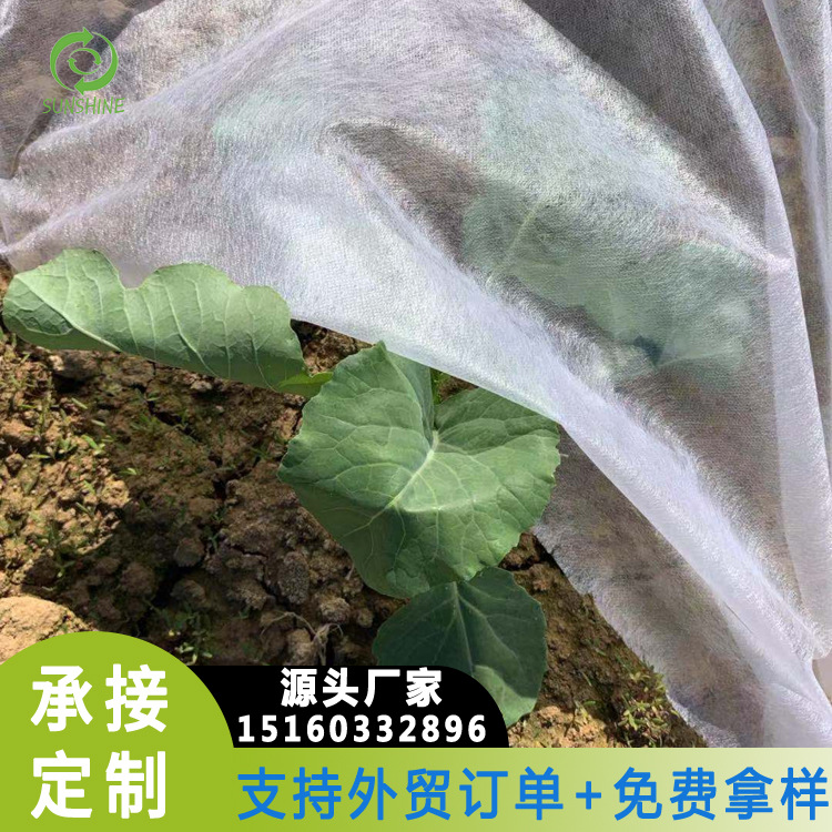 福建厂家现货17g农业保温抗老化无纺布含4%-6%UV接驳无纺布大宽幅