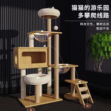 ؈���ܴ���؈�C�ļ�ͨ��؈��һ�w�ǌ�ľ̫��œ؈ץ��؈�e��؈���